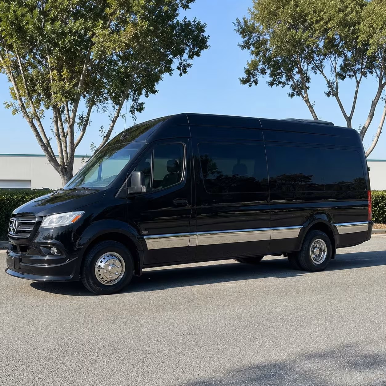 sprinter van with driver